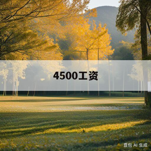 4500工资