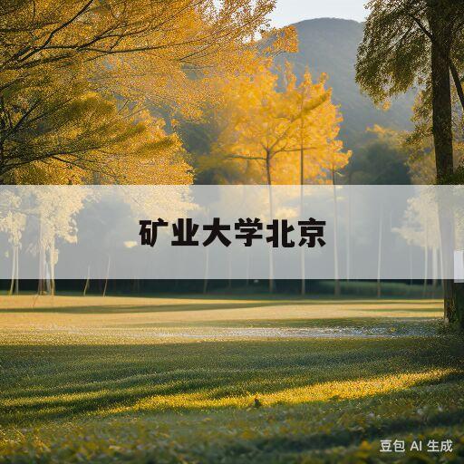 矿业大学北京